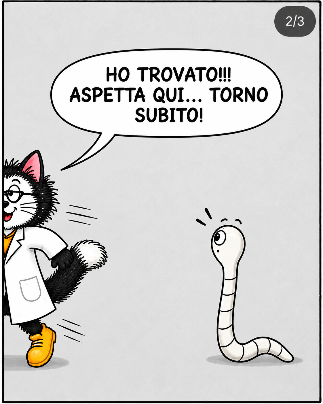 Halloween, vignetta 2